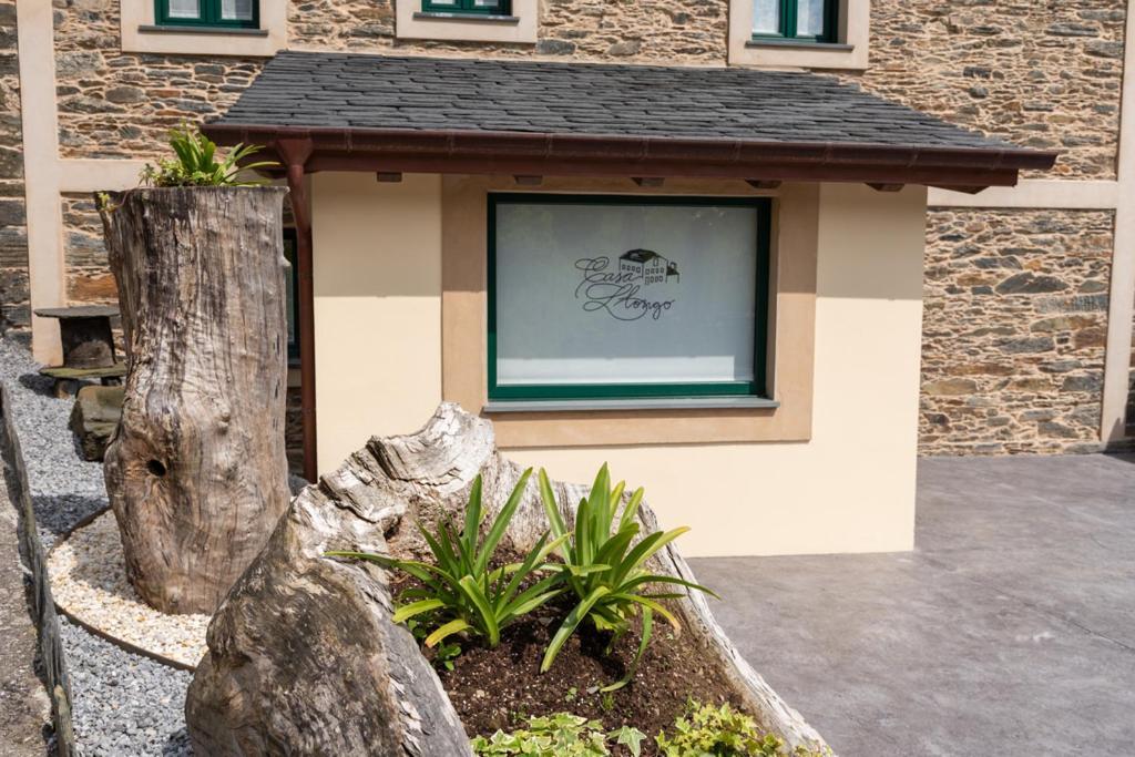 Apartamentos Rurales Casa Llongo Coana エクステリア 写真